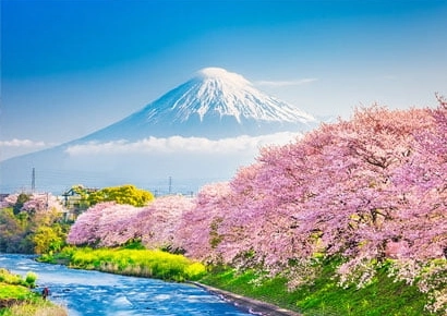 Tham gia hội chợ thương mại quốc tế tại Hà Nội