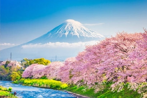 Tham gia hội chợ thương mại quốc tế tại Hà Nội