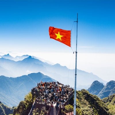 Cập nhật xu hướng thị trường năm 2025