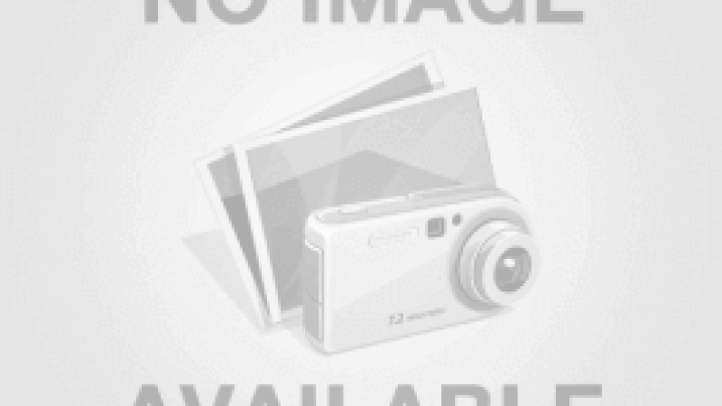 SEO & Tối ưu hóa